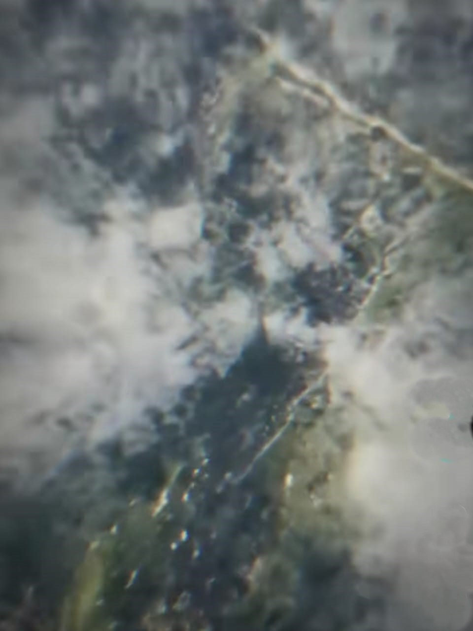 Earth Zoom CapCut Template 2025