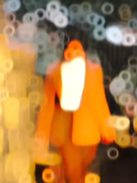 Made In India CapCut Template